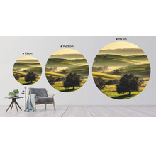 Papier peint panoramique intissé HRBC200085 Toscane Ø 190 cm