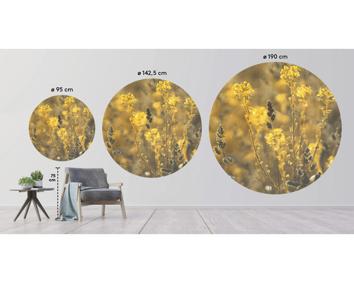 Drei runde Wandbilder mit Pflanzenmotiv in verschiedenen Größen in einer Raumdarstellung