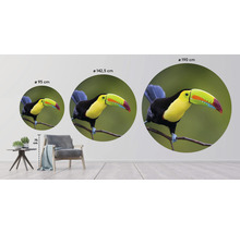 Papier peint panoramique intissé HRBC200060 Toucan Ø 190 cm