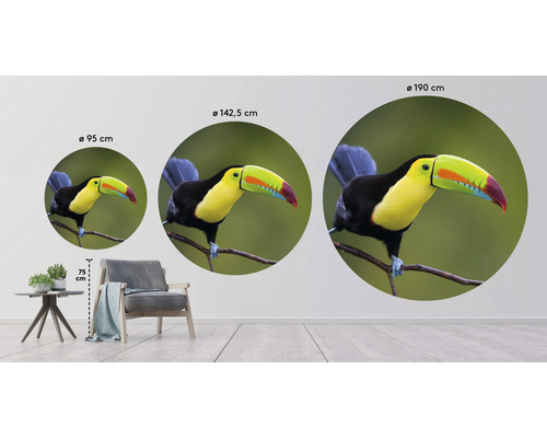 Sticker mural avec motif toucan en trois tailles différentes comme exemples de décoration