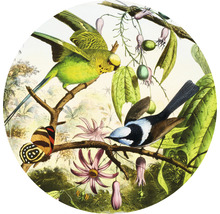 Papier peint panoramique intissé HRBC200059 Illustration oiseau 2 Ø 190 cm