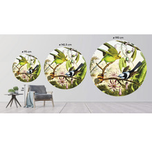 Papier peint panoramique intissé HRBC200059 Illustration oiseau 2 Ø 190 cm