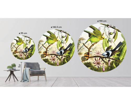 Trois peintures murales rondes avec des motifs d''oiseaux de différentes tailles dans la pièce