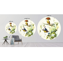 Illustration de stickers muraux avec motifs d''oiseaux de différents diamètres dans le salon