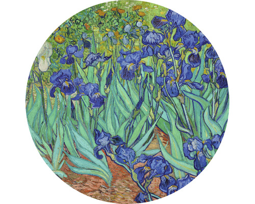Papier peint panoramique intissé HRBC200051 Van Gogh Iris Ø 190 cm