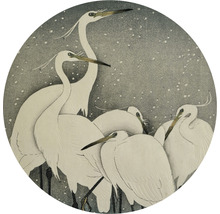 Illustration de hérons dans un cercle