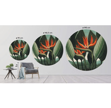 Papier peint panoramique intissé HRBC200039 Thornton Strelitzia Ø 190 cm