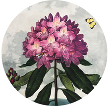Papier peint panoramique intissé HRBC200037 Thornton Rhododendron Ø 190 cm