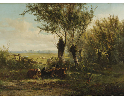 Papier peint panoramique intissé HRBP000049 Albert Geradus Bilders Prairie 5 pces 243 x 184 cm