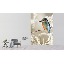 Papier peint panoramique intissé HRBP200007 Martin-pêcheur 4 pcs. 194 x 280 cm