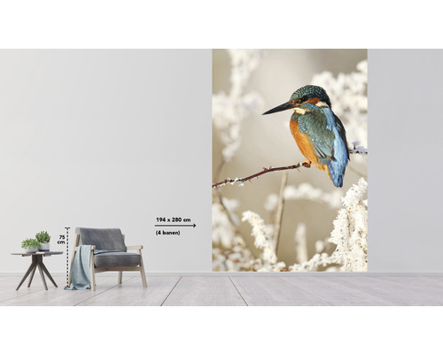 Papier peint photo avec un martin-pêcheur sur une branche enneigée, dimension 194 x 280 centimètres
