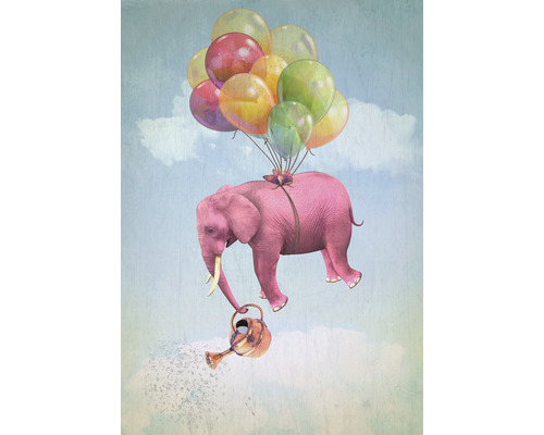 Papier peint panoramique intissé HRBP200013 éléphant avec ballon 4 pcs. 194 x 280 cm
