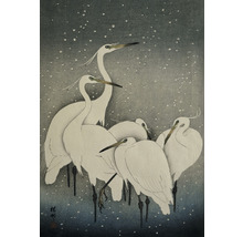 Illustration von Reihern im Schnee