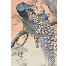 Illustration von zwei Pfauen auf einem Baum