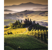 Paysage avec ferme, champs et collines