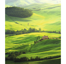 Hügelige Landschaft mit Feldern und Bäumen