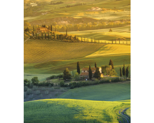 Papier peint panoramique intissé HRBP300024 Toscane 5 5 pces 243 x 280 cm