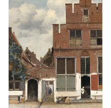 Fototapete Vlies HRBP300027 Jan Vermeers Straße in Delft 5-tlg. 243 x 280 cm