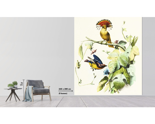 Vue d''une pièce avec un papier peint représentant des oiseaux et des plantes, dimensions 243 sur 280 centimètres