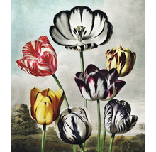 Gemälde mit verschiedenen Tulpen vor einer Landschaft
