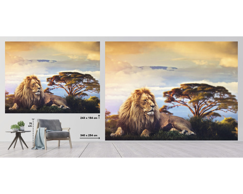Fototapete mit Löwenmotiv vor afrikanischer Savannenlandschaft, Größenangaben