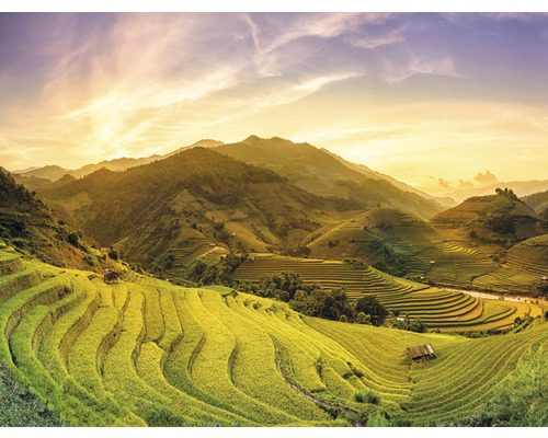 Papier peint panoramique intissé HRBP000083 Mu Chan Chai Vietnam 5 pces 243 x 184 cm