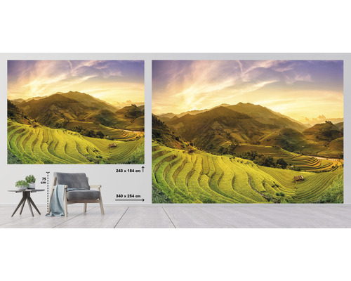 Papier peint photo avec motif de paysage, rizières en terrasses