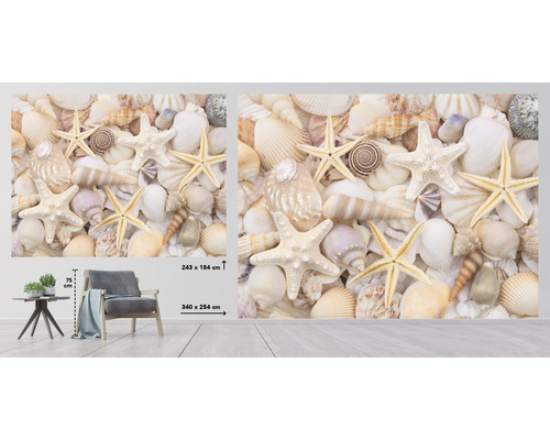 Papier peint photo avec coquillages et étoiles de mer dans le salon