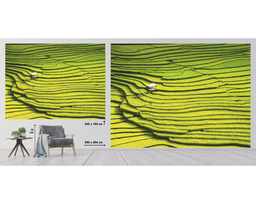 Papier peint photo avec motif de rizières en terrasses et petite maison