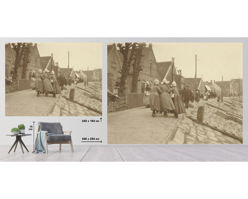 Vue historique d''un village comme décoration murale, 340 x 254 centimètres