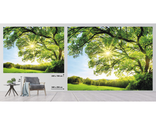 Fototapete mit Waldmotiv und Sonnenschein