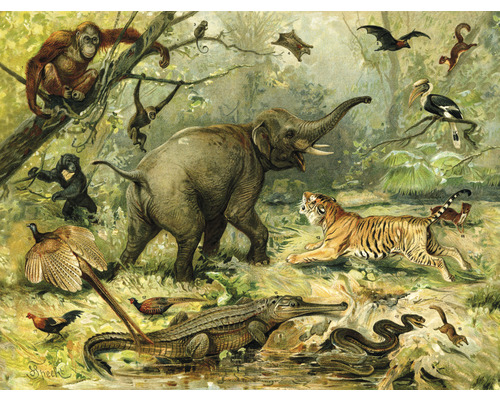 Papier peint panoramique intissé HRBP100091 Animaux de la jungle 7 pces 340 x 254 cm Illustration d''une faune diversifiée dans un habitat de jungle