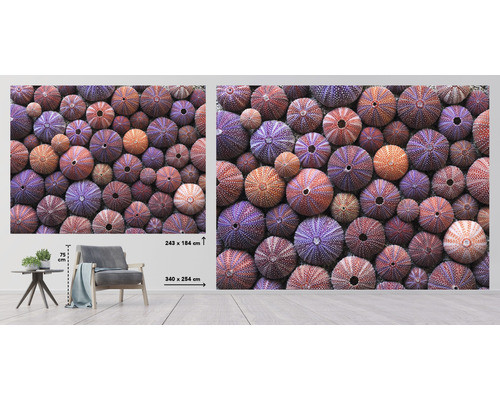 Image murale avec motif d''oursin pour la décoration de pièces