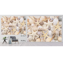 Fototapete mit Muscheln und Seesternen im Wohnzimmer