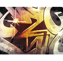 Fototapete Vlies HRBP100089 Graffiti 7-tlg. 340 x 254 cm