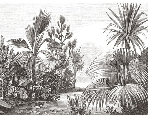 Papier peint panoramique intissé HRBP100093 Illustration jungle 7 pces 340 x 254 cm Illustration avec des palmiers et des nénuphars