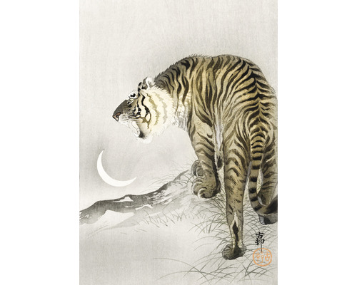 Papier peint panoramique intissé HRBP200086 Tigre 4 pces 194 x 280 cm