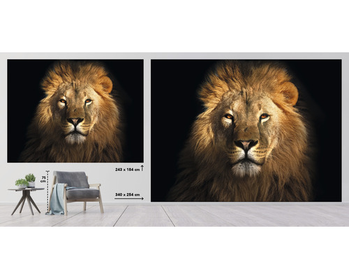 Tableau mural décoratif avec motif de lion aux formats 340 x 254 centimètres et 243 x 184 centimètres