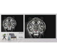 Fototapete Vlies HRBP100010 Tiger schwarz-weiß 7-tlg. 340 x 254 cm