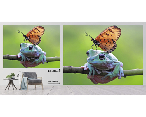 Papier peint photo avec grenouille et papillon, dimensions 243 x 184 centimètres et 340 x 254 centimètres
