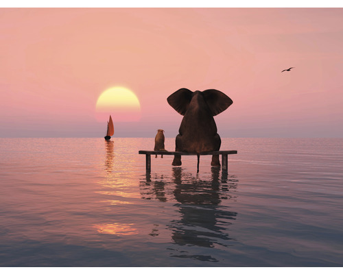 Fototapete Vlies HRBP100018 Elefant und Hund 4 7-tlg. 340 x 254 cm
