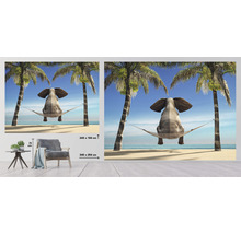 Papier peint photo avec un éléphant dans un hamac entre des palmiers sur la plage