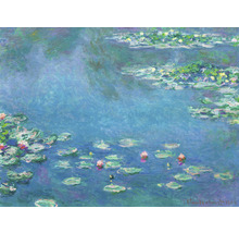 Papier peint panoramique intissé HRBP100036 Monet Les Nymphéas 7 pces 340 x 254 cm
