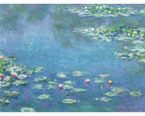 Fototapete Vlies HRBP100036 Monet Seerosen 7-tlg. 340 x 254 cm