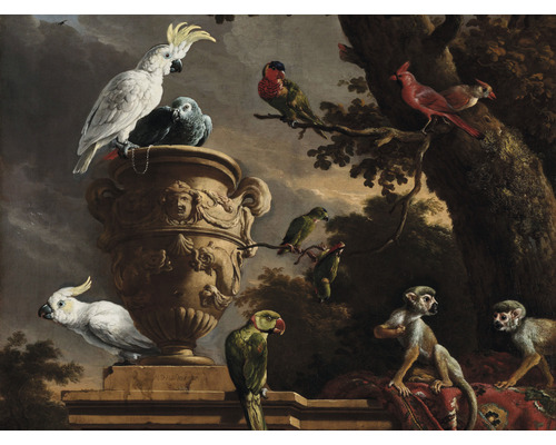 Papier peint panoramique intissé HRBP100047 D'Hondecoeter La Ménagerie 7 pces 340 x 254 cm Papier peint panoramique intissé HRBP100047 D'Hondecoeter La Ménagerie 7 pces 340 x 254 cm