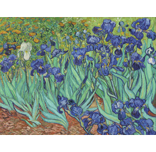Fototapete Vlies HRBP100051 Van Gogh Schwertlilien 7-tlg. 340 x 254 cm