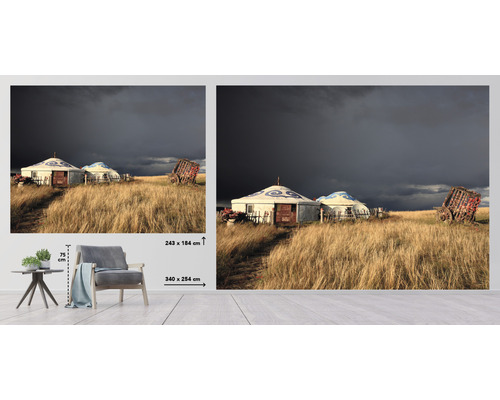Papier peint avec yourtes et chariot dans l''herbe, format 340 x 254 centimètres