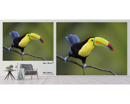 Fototapete mit Tukan auf einem Ast, in zwei Größen erhältlich