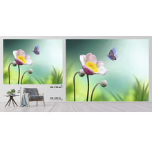 Fototapete Vlies HRBP100061 Blume mit Schmetterling 7-tlg. 340 x 254 cm