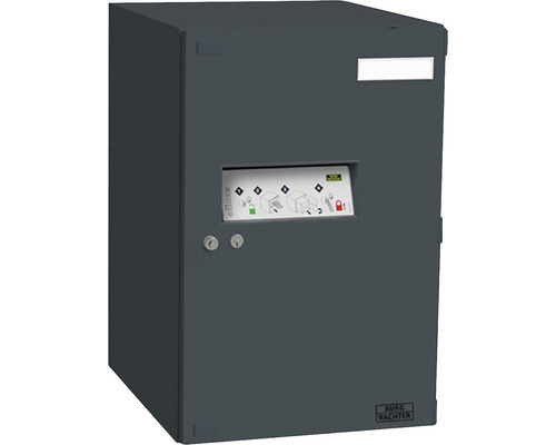 Boîte à colis Burg Wächter eBoxx E 634 S ANT anthracite lxhxp 380/575/450 mm Boîte à colis Burg Wächter pour l''extérieur